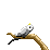 Parrot  icon/pixelart