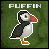 Puffin
