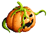 Pumpkin time!