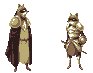 Raccoon Warriors