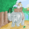 Safari