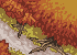 autumn..