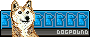 Shiba Inu Dog Pound
