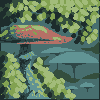 mushroom fields