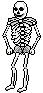 skeleton guy