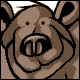 Funky Bear