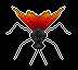 Tarantula Hawk