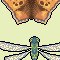 Bug buttons