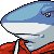Sharkeh portrait