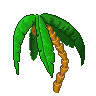 Palm Tree
