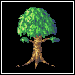 Small Tree