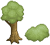 Tree and Bush