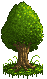 Random Tree