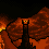 From Shelob's Cave
