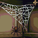 Drunken Spider