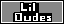 Lil Dudes: Pixel People